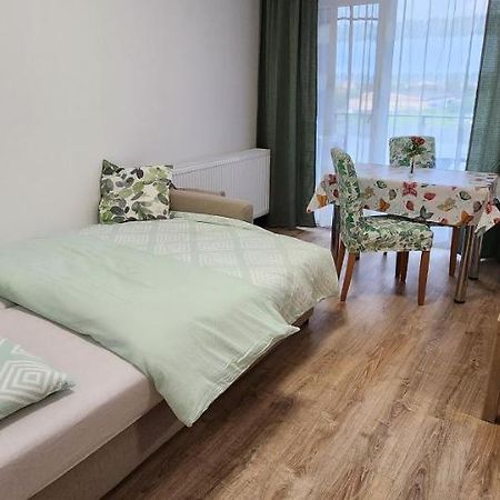 Butterfly Apartment ティミショアラ エクステリア 写真