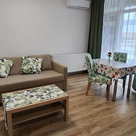 Butterfly Apartment ティミショアラ エクステリア 写真