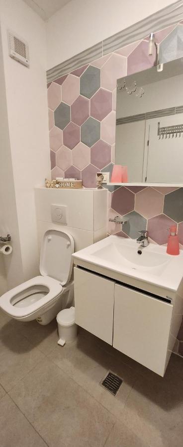 Butterfly Apartment ティミショアラ エクステリア 写真