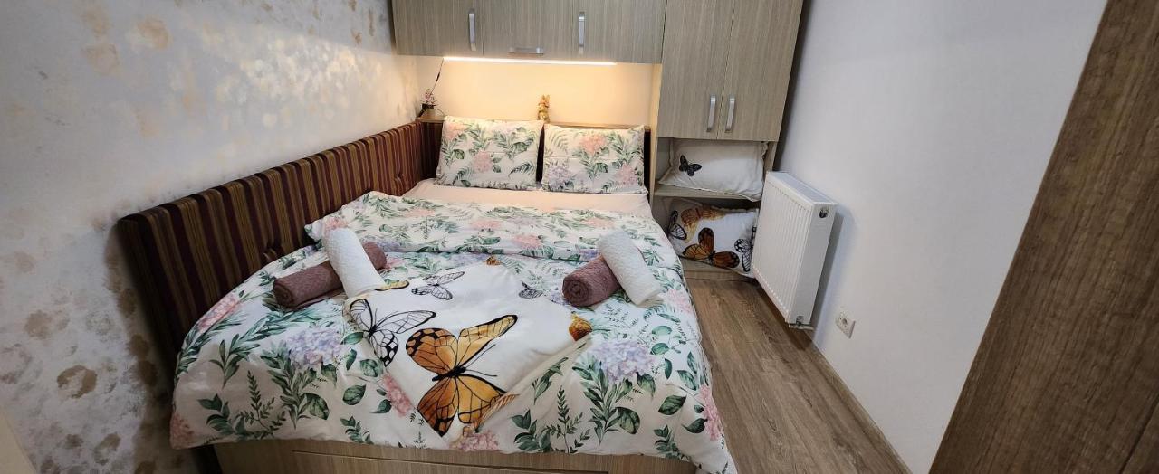 Butterfly Apartment ティミショアラ エクステリア 写真