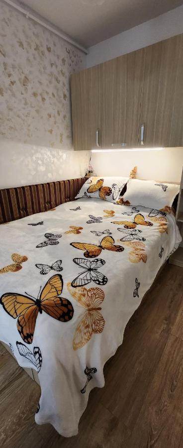 Butterfly Apartment ティミショアラ エクステリア 写真