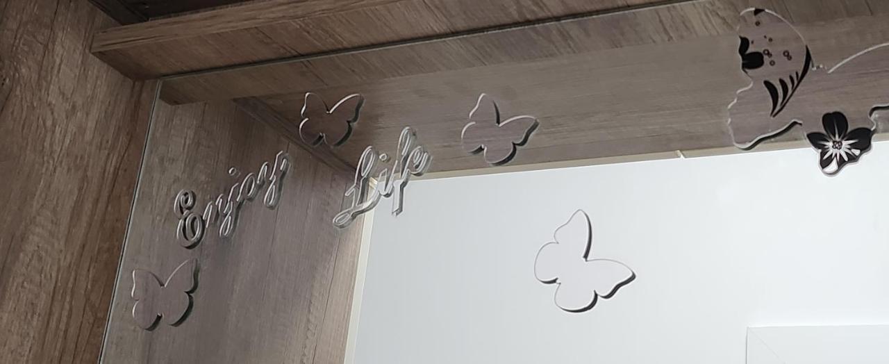 Butterfly Apartment ティミショアラ エクステリア 写真